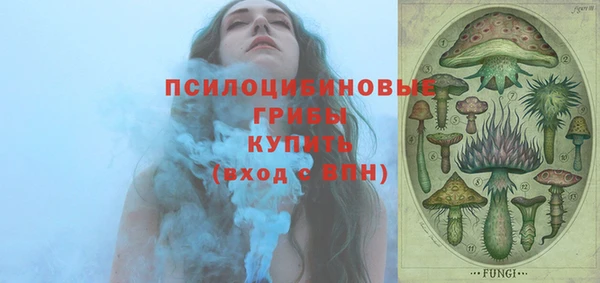 ГАЛЛЮЦИНОГЕННЫЕ ГРИБЫ Аркадак