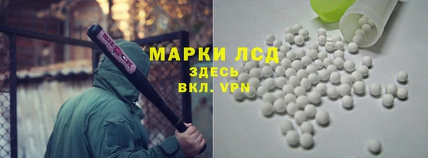 ГАЛЛЮЦИНОГЕННЫЕ ГРИБЫ Аркадак