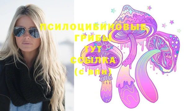 ГАЛЛЮЦИНОГЕННЫЕ ГРИБЫ Аркадак