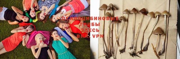 Альфа ПВП Армянск