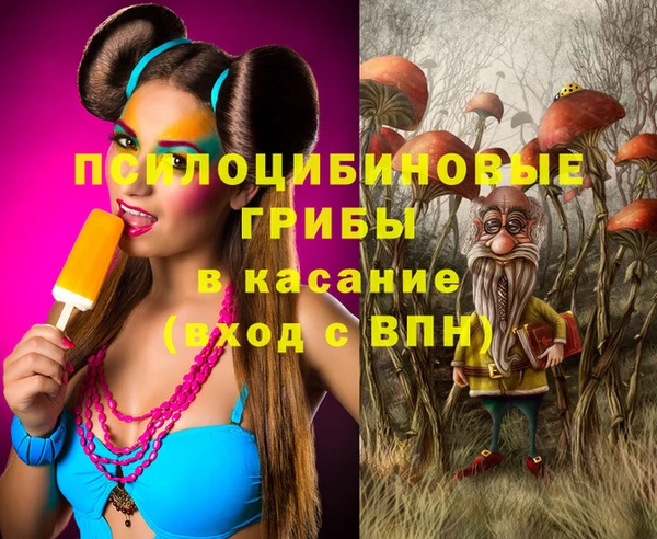 ГАЛЛЮЦИНОГЕННЫЕ ГРИБЫ Аркадак