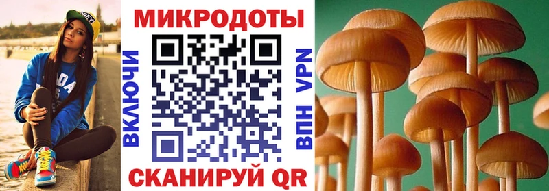 Псилоцибиновые грибы Psilocybe  цены   кракен ТОР  Новодвинск 
