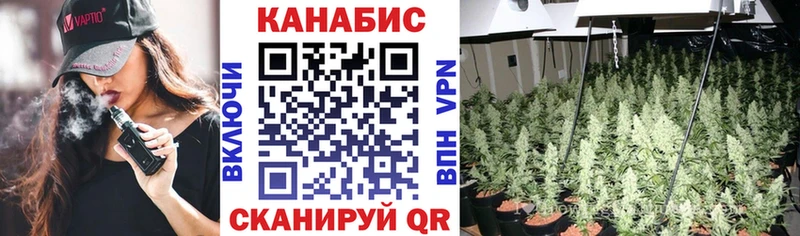 Канабис планчик Новодвинск